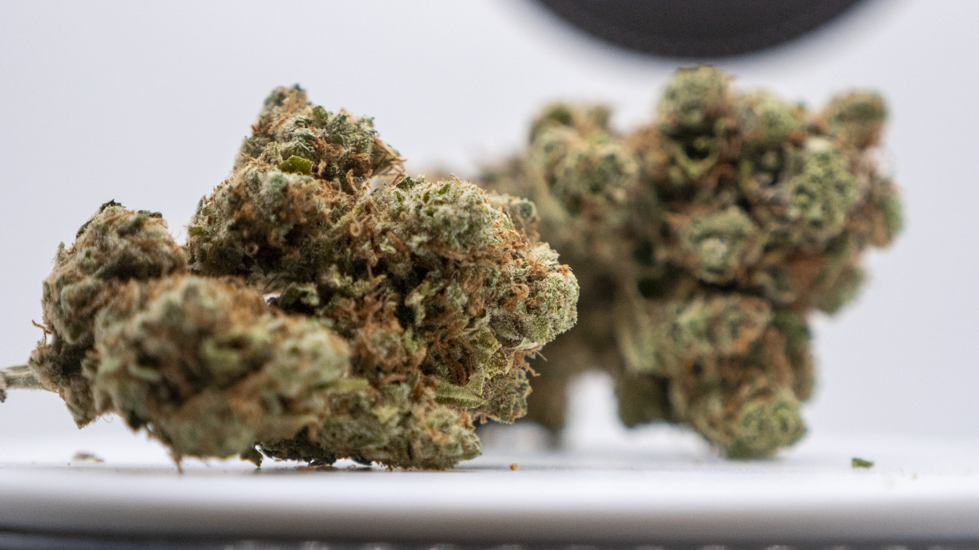 CBD | Blog Le Petit Vapoteur